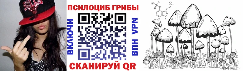 где продают   Конаково  Галлюциногенные грибы Psilocybine cubensis 