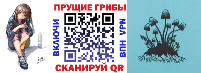 Псилоцибиновые грибы прущие грибы Конаково